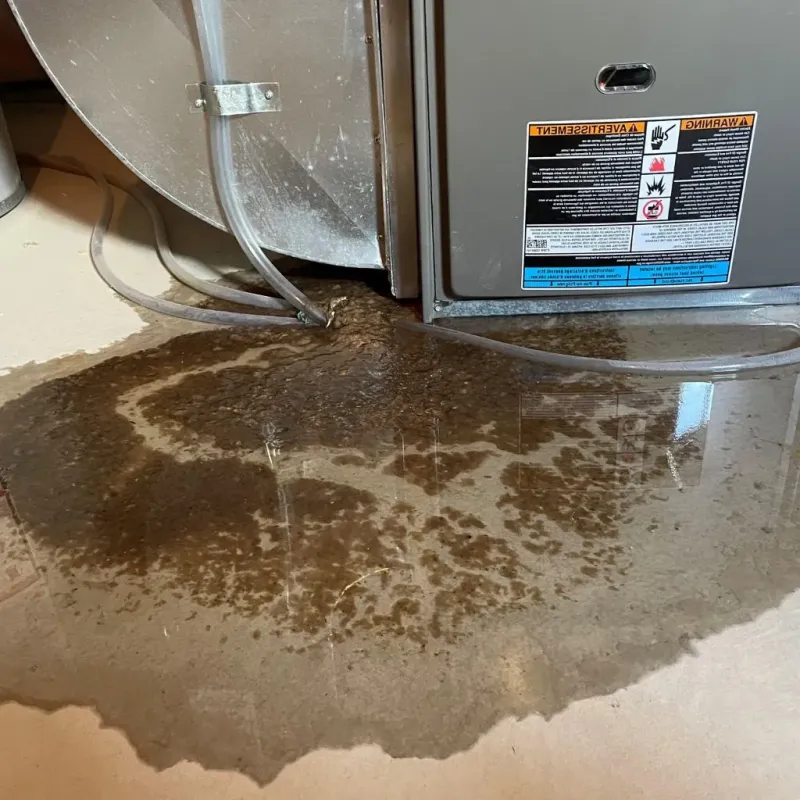 Pipe Burst and Leak Restoration in Emerson Hill, NY